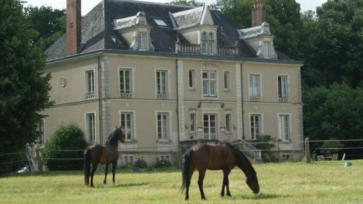 Domaine De Bel Air Hotel Cérans-Foulletourte Екстериор снимка